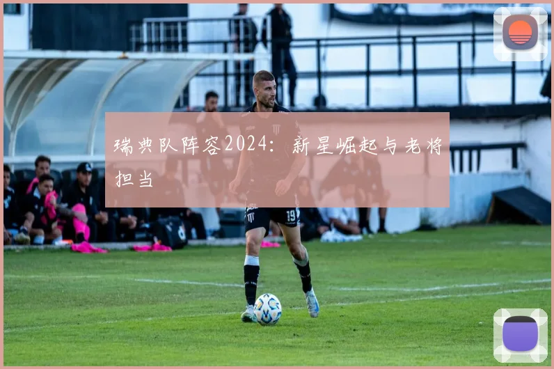 瑞典队阵容2024：新星崛起与老将担当
